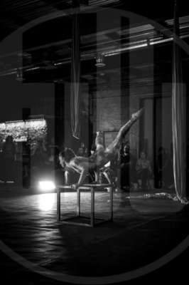 WIC-2019-Preview-076