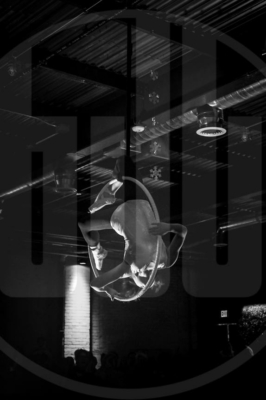 WIC-2019-Preview-254