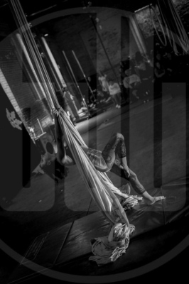 WIC-2019-Preview-320