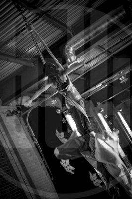WIC-2019-Preview-336