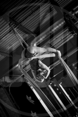 WIC-2019-Preview-364